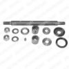 DELPHI TD228W Repair Kit, stub axle